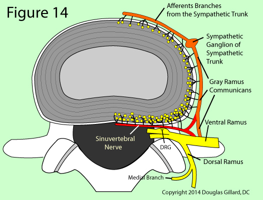 axial fine wiring